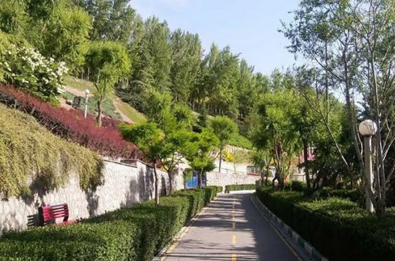 عمران و زیباسازی شهری
                                    /></a>
                            </div>
                            <div class=